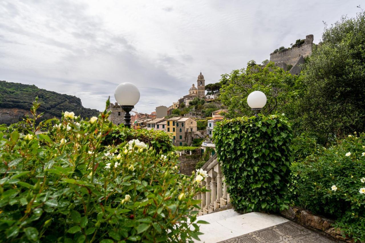 Paolo Lemon Tree