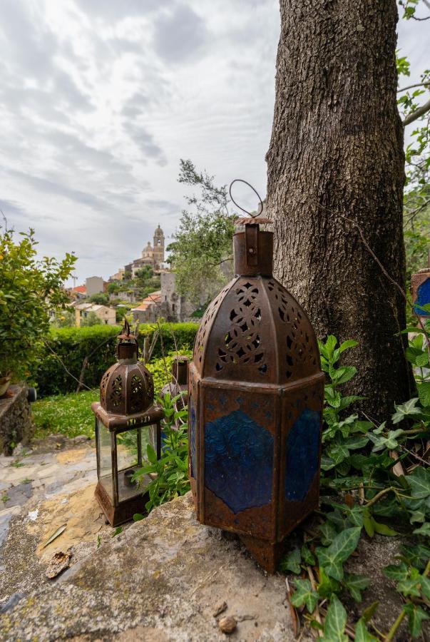 Paolo Lemon Tree