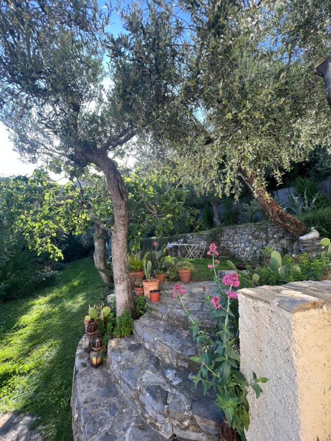 Paolo Lemon Tree Villa